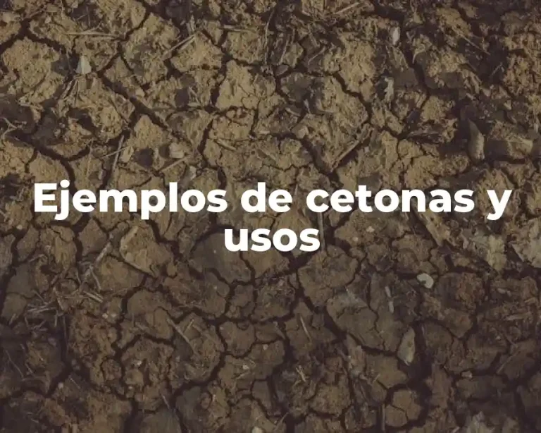 Ejemplos de cetonas y usos