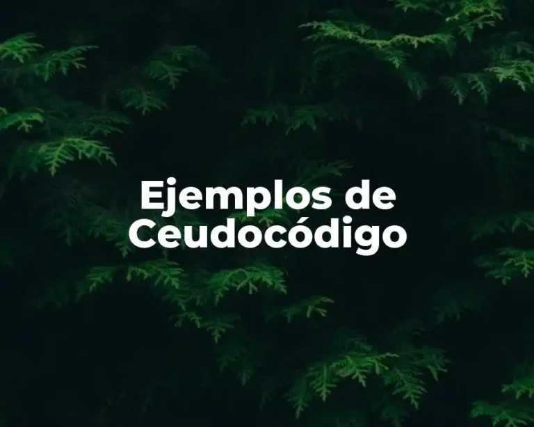 Ejemplos de Ceudocódigo