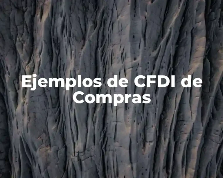 Ejemplos de CFDI de Compras