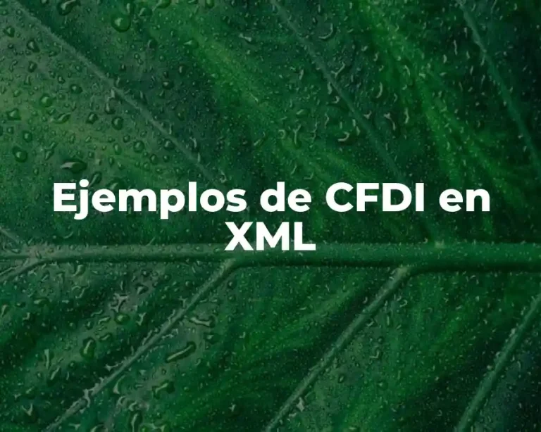 Ejemplos de CFDI en XML