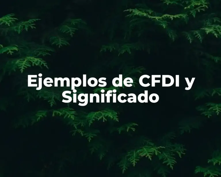 Ejemplos de CFDI y Significado