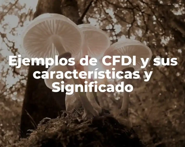 Ejemplos de CFDI y sus características y Significado