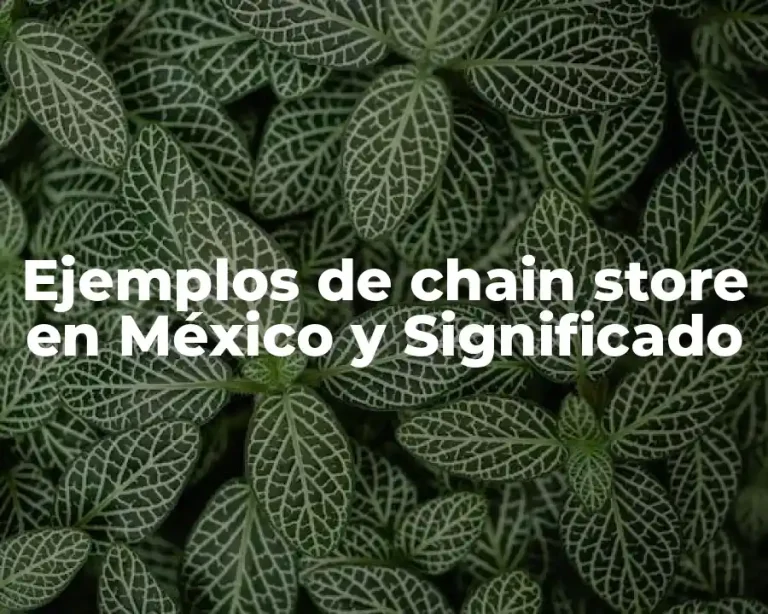 Ejemplos de chain store en México y Significado