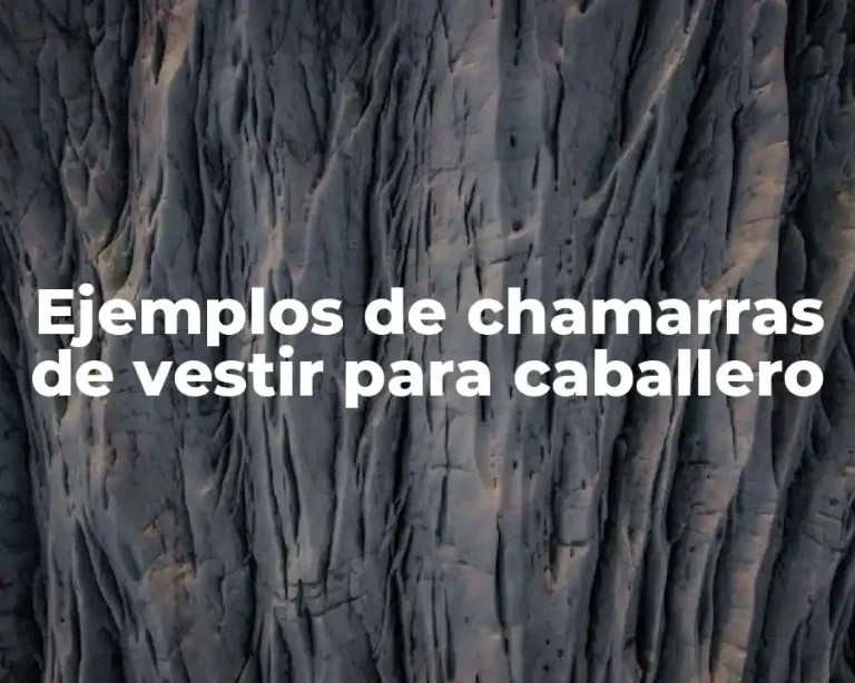 Ejemplos de chamarras de vestir para caballero