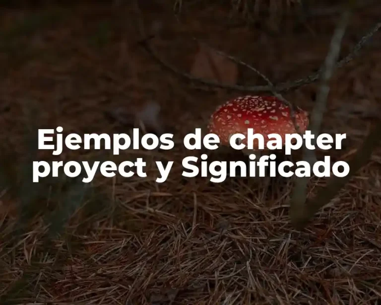 Ejemplos de chapter proyect y Significado