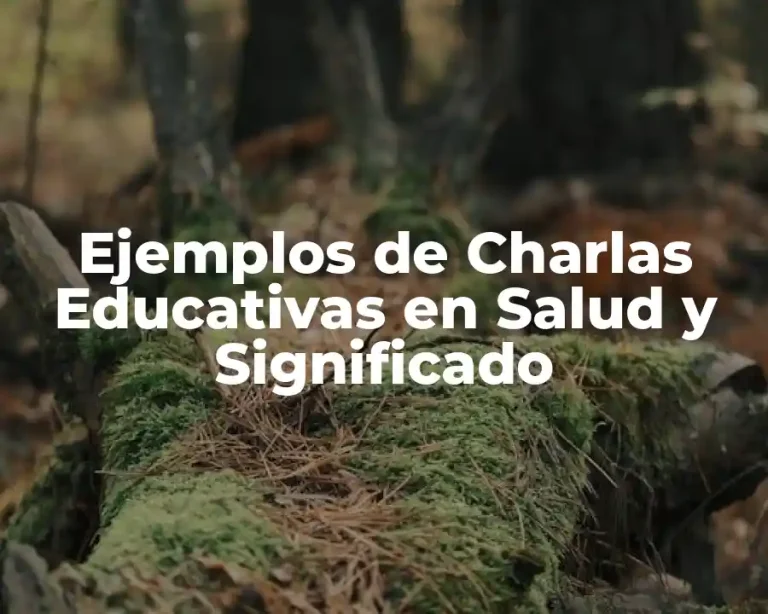 Ejemplos de Charlas Educativas en Salud y Significado