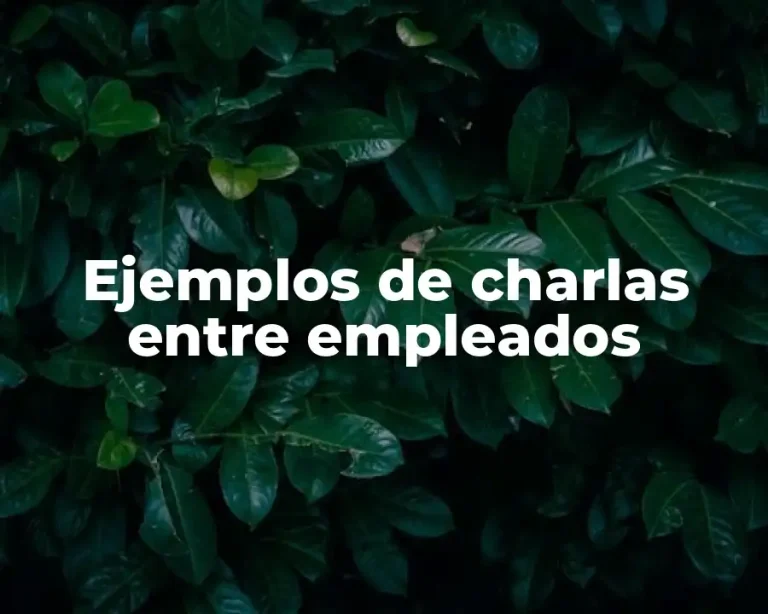Ejemplos de charlas entre empleados