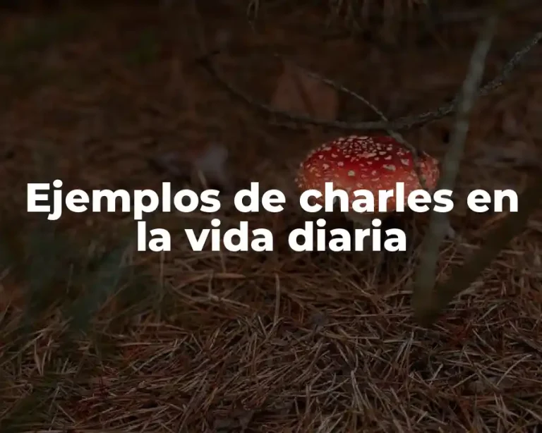 Ejemplos de charles en la vida diaria