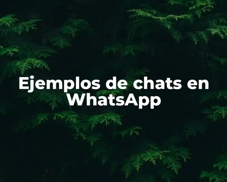 Ejemplos de chats en WhatsApp