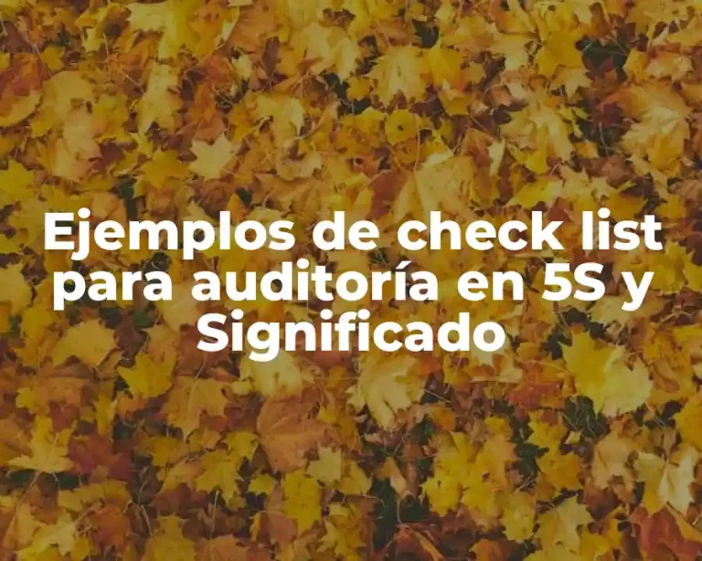 Ejemplos de check list para auditoría en 5S y Significado