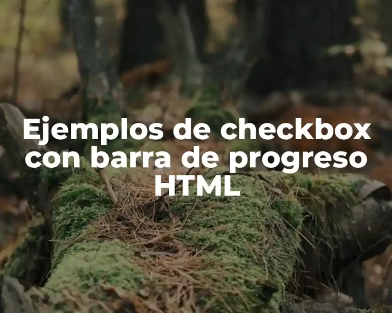 Ejemplos de checkbox con barra de progreso HTML