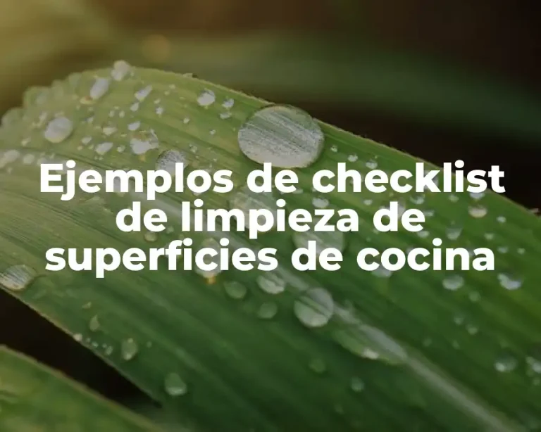 Ejemplos de checklist de limpieza de superficies de cocina