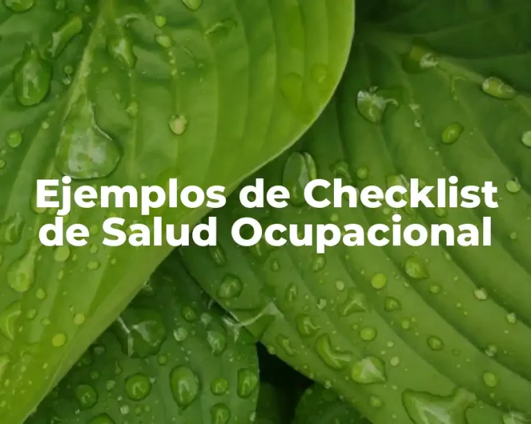 Ejemplos de Checklist de Salud Ocupacional
