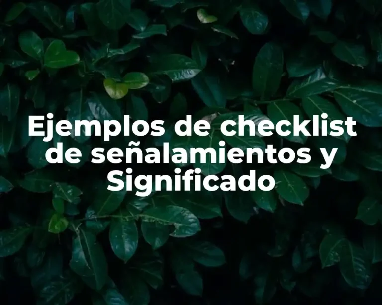 Ejemplos de checklist de señalamientos y Significado