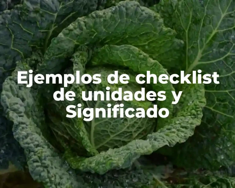 Ejemplos de checklist de unidades y Significado