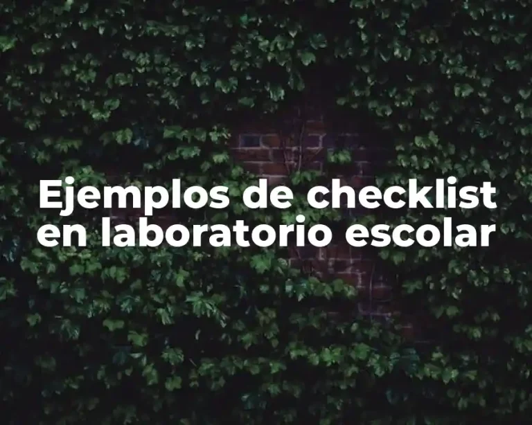 Ejemplos de checklist en laboratorio escolar