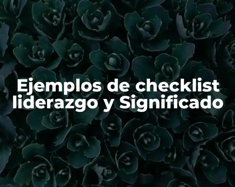 Ejemplos de checklist liderazgo y Significado