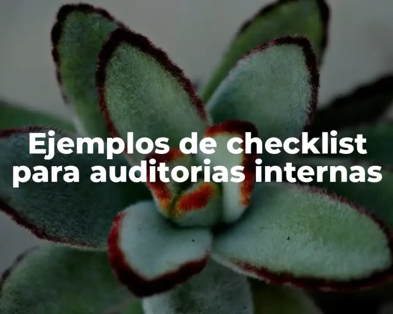 Ejemplos de checklist para auditorias internas