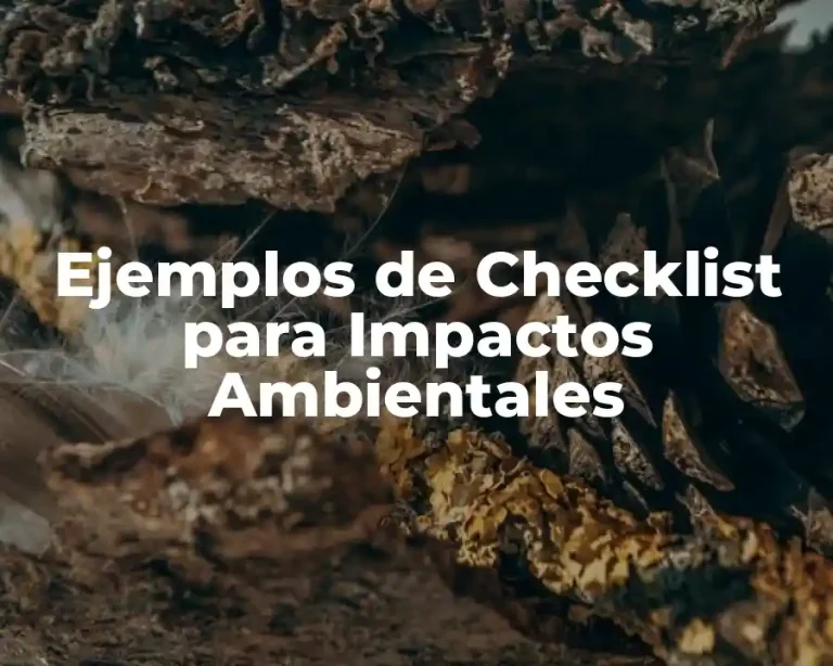 Ejemplos de Checklist para Impactos Ambientales