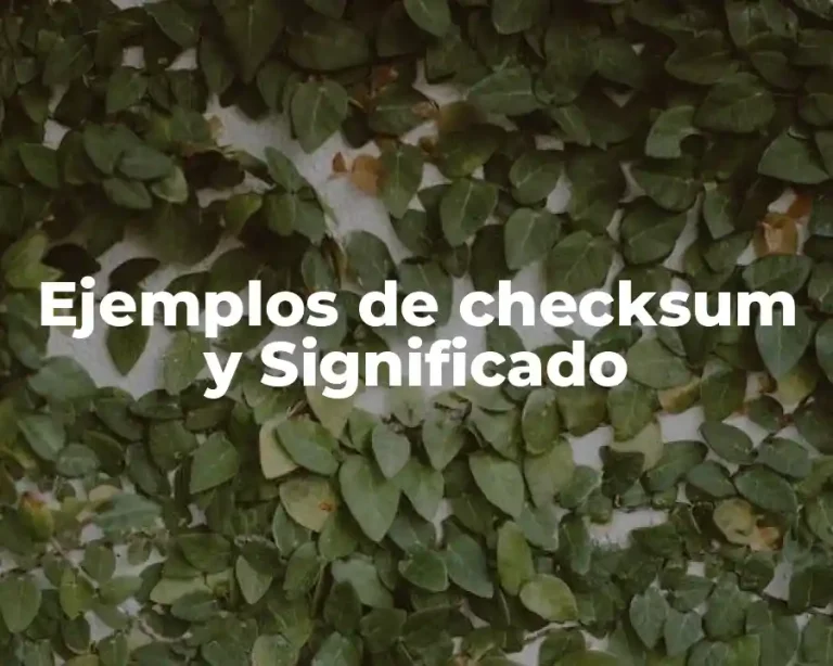 Ejemplos de checksum y Significado