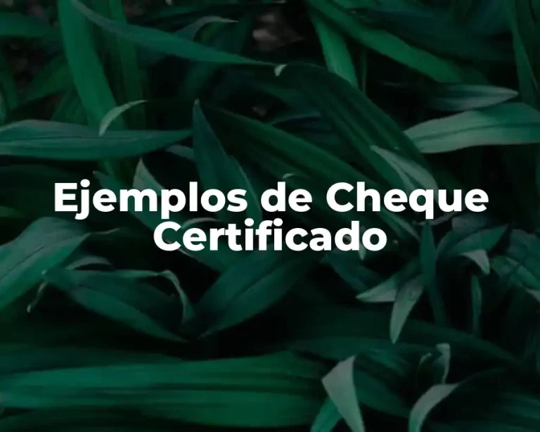Ejemplos de Cheque Certificado