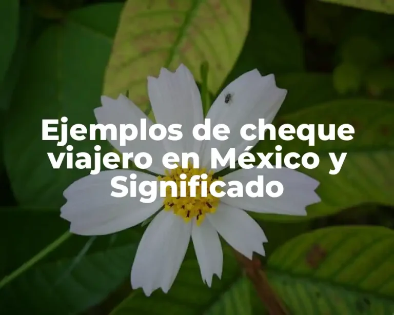 Ejemplos de cheque viajero en México y Significado