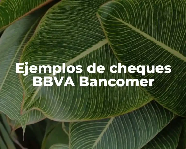 Ejemplos de cheques BBVA Bancomer