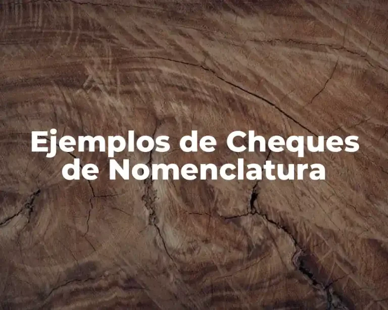 Ejemplos de Cheques de Nomenclatura