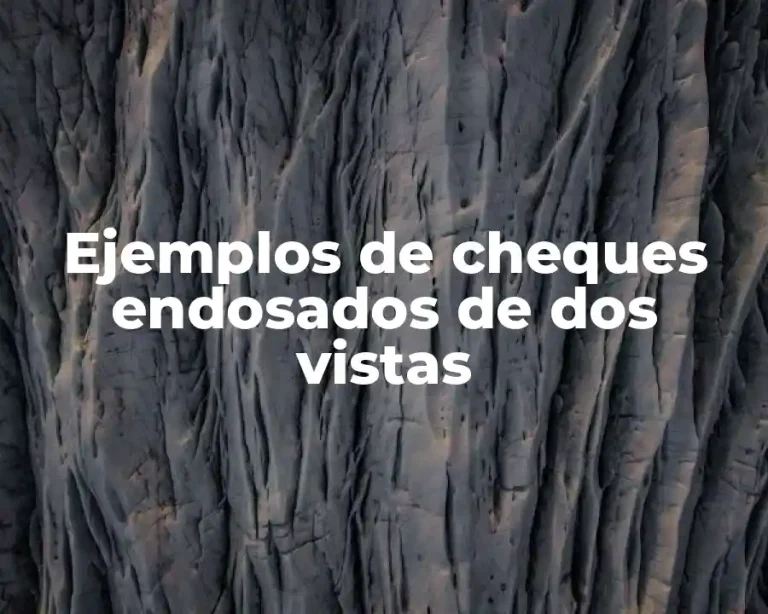 Ejemplos de cheques endosados de dos vistas