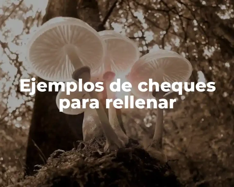 Ejemplos de cheques para rellenar