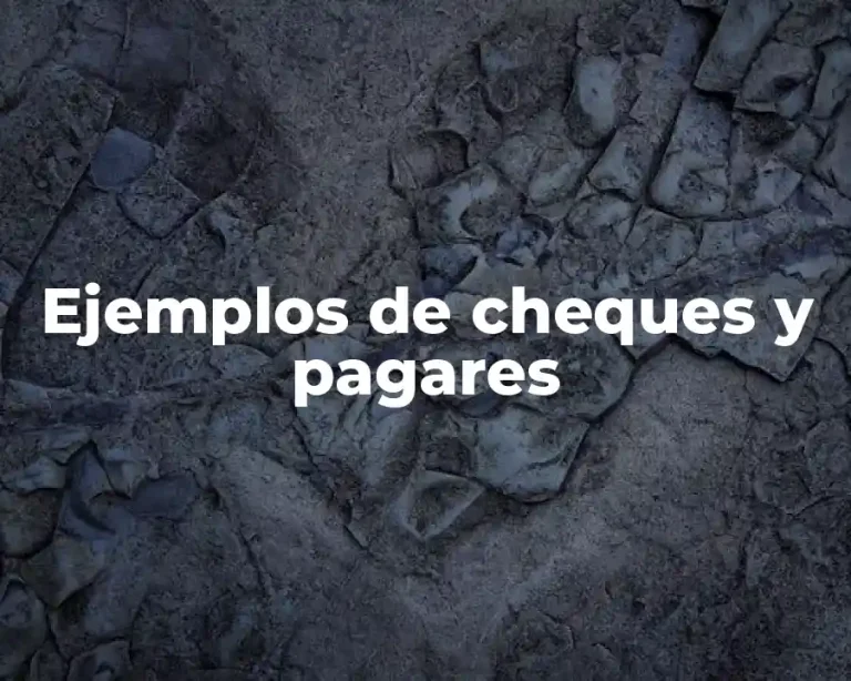 Ejemplos de cheques y pagares