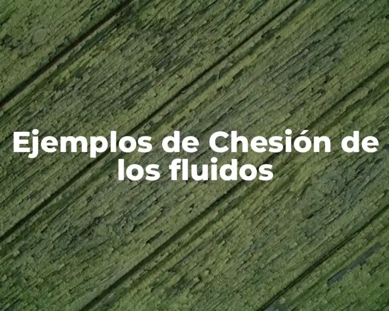 Ejemplos de Chesión de los fluidos