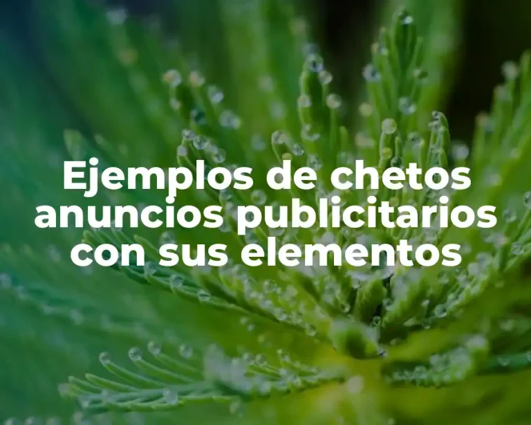 Ejemplos de chetos anuncios publicitarios con sus elementos
