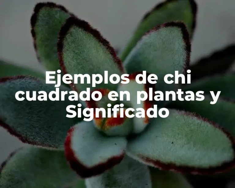 Ejemplos de chi cuadrado en plantas y Significado