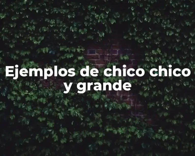 Ejemplos de chico chico y grande