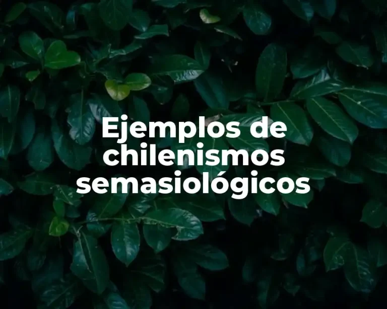 Ejemplos de chilenismos semasiológicos