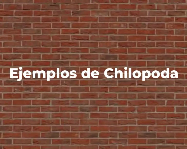 Ejemplos de Chilopoda