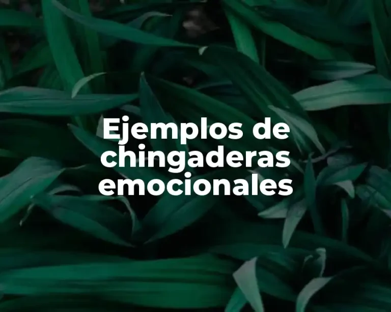 Ejemplos de chingaderas emocionales