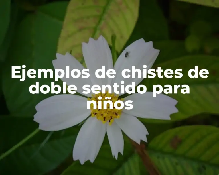 Ejemplos de chistes de doble sentido para niños