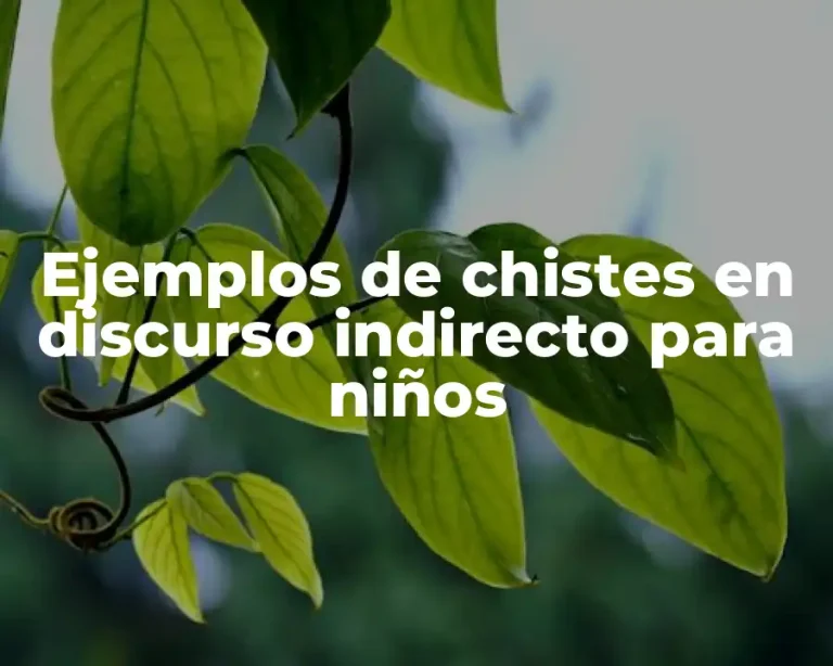 Ejemplos de chistes en discurso indirecto para niños