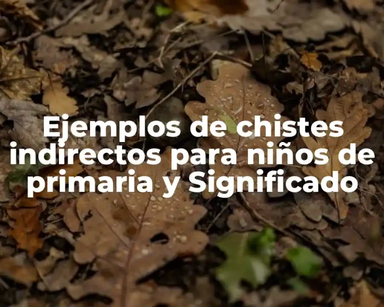 Ejemplos de chistes indirectos para niños de primaria y Significado