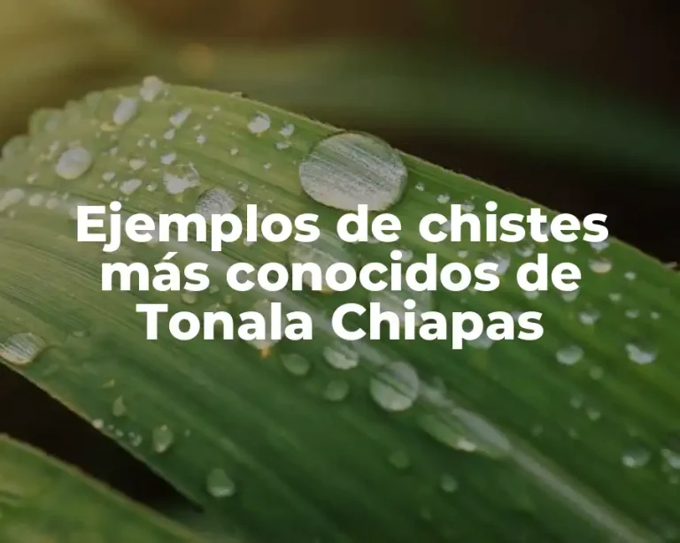 Ejemplos de chistes más conocidos de Tonala Chiapas