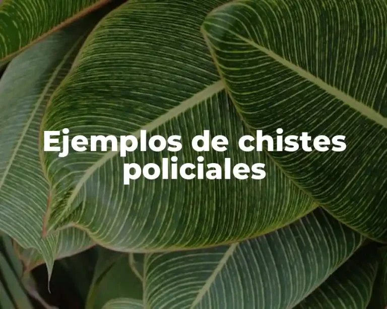 Ejemplos de chistes policiales