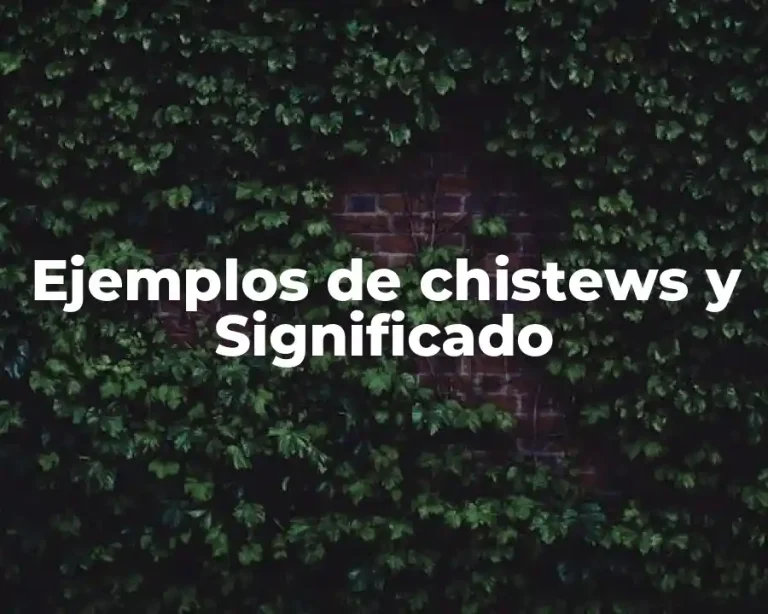 Ejemplos de chistews y Significado