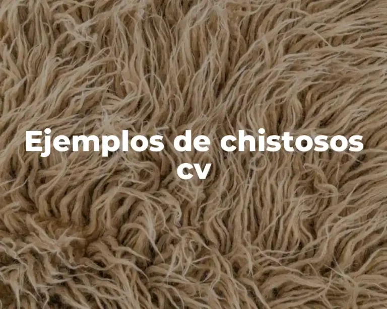 Ejemplos de chistosos cv
