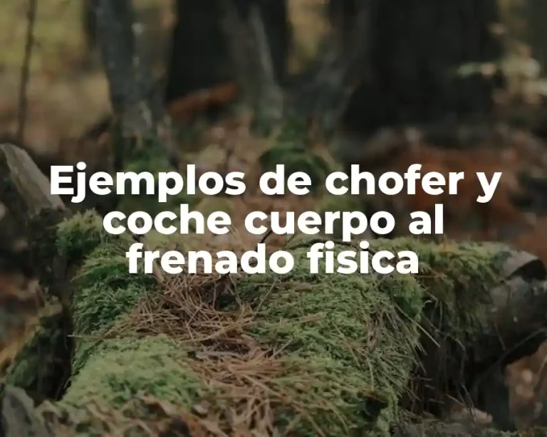 Ejemplos de chofer y coche cuerpo al frenado fisica