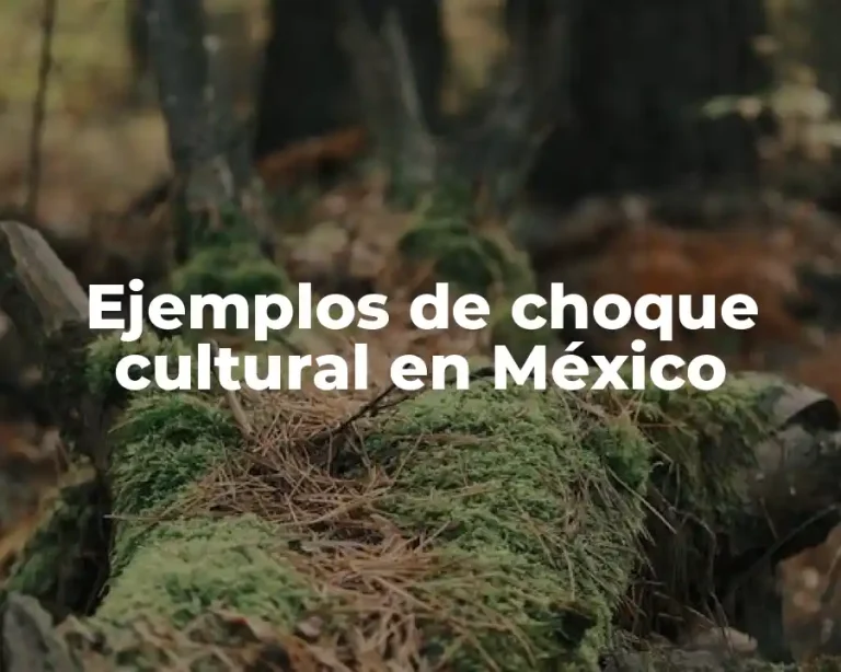 Ejemplos de choque cultural en México