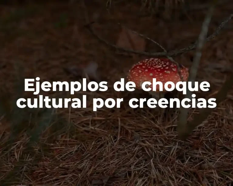 Ejemplos de choque cultural por creencias