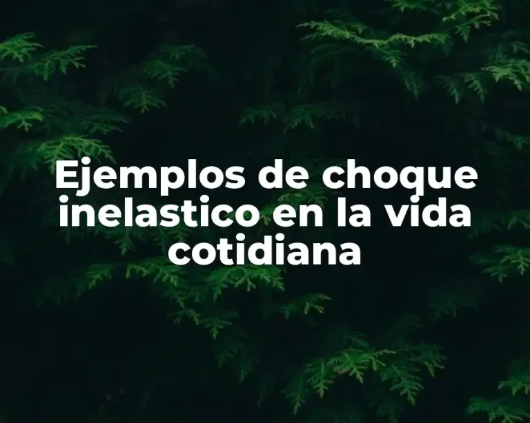 Ejemplos de choque inelastico en la vida cotidiana