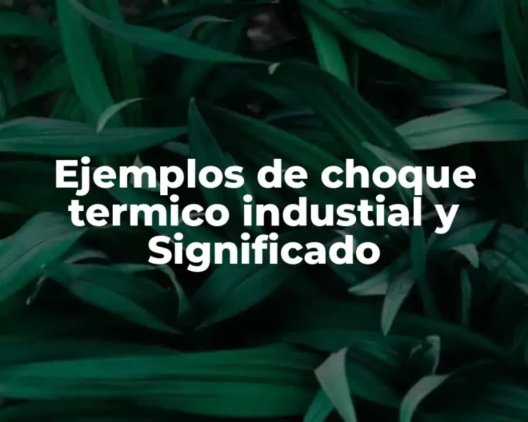Ejemplos de choque termico industial y Significado